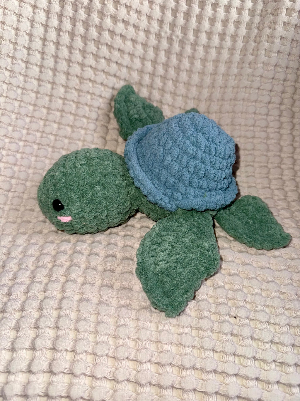 Sea Turtle